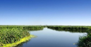 監測數據造假“惡”于環境污染